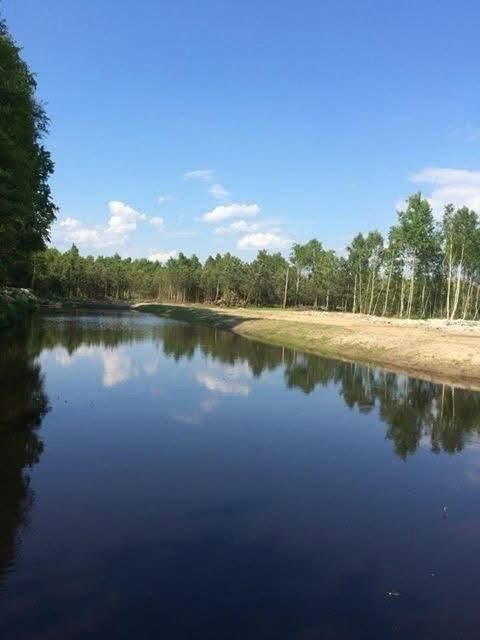 Staw i zieleń