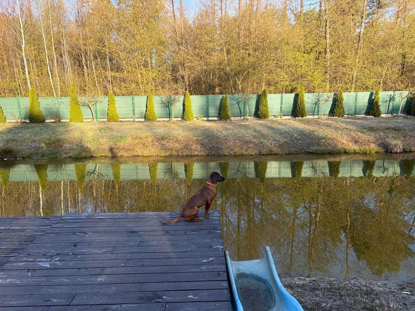 Staw z pomostem